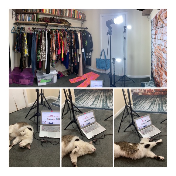 Meet your Posher, Majda - Picture 3 of 6